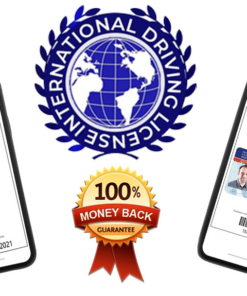 International Driver License