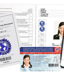 International Driver’s Permit booklet and card