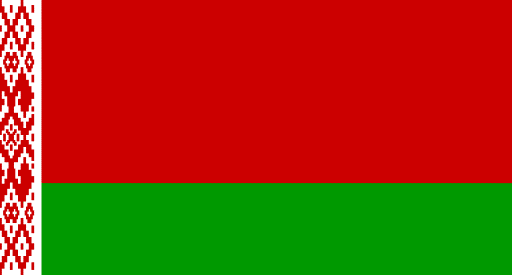 Driving in Belarus- International driving license 25 International Driving license in Belarus