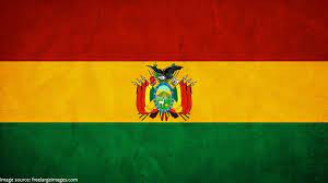 Bolivia International Driving license