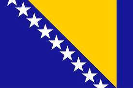 Bosnia International Driving license