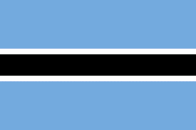 Botswana International Driving license