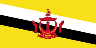 Brunei International Driving license