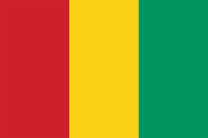 International Driving license in Guinea