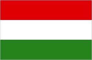 International Driving license in Hungary