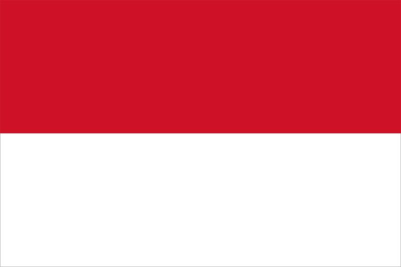 International Driving license in Indonesia