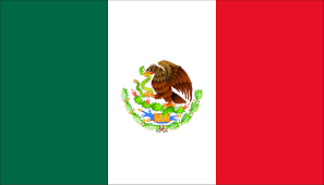International Driving license in Mexico
