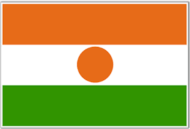 International Driving license in Niger