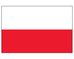 Driving license in Poland