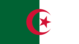 International Driving license