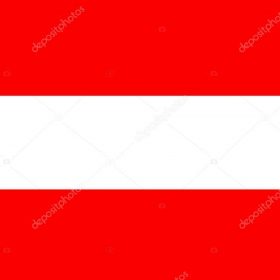 International Driving license