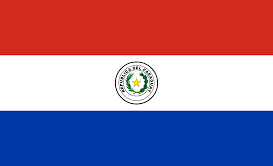 Driving in Paraguay- International Driving License 25 International Driving license