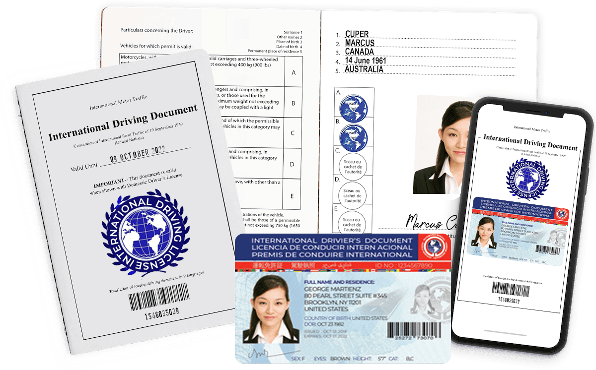 International Drivers License
