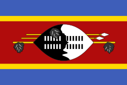 Flag of Eswatini.svg international driving permit