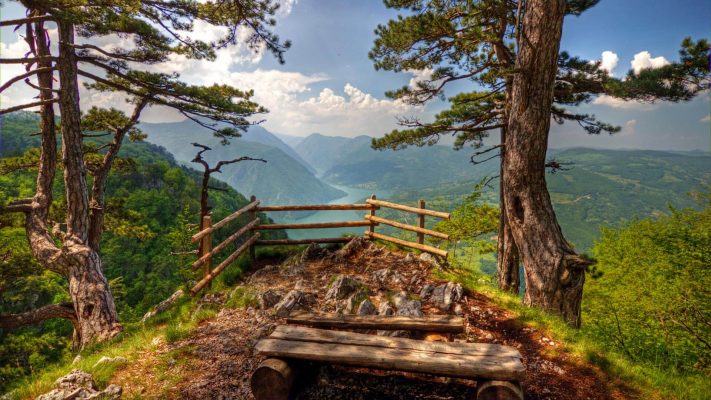 International Driving License in Serbia 27 Tara national park view international driving permit