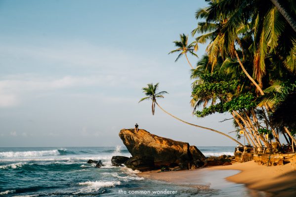 The Common Wanderer best things to do Sri Lanka 22 international driving permit